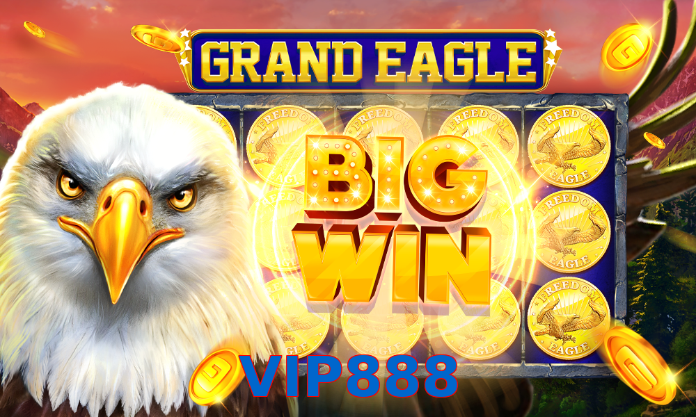 VIP888