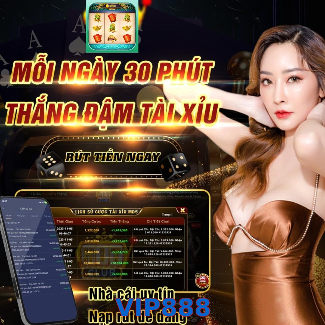 VIP888